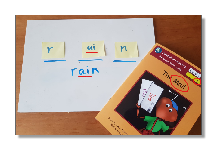 The role of decodable and leveled texts