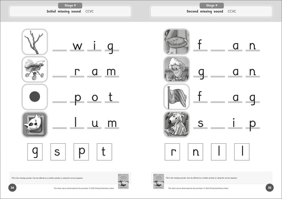 Dandelion Launchers Extras Reading and Writing Activities for Stages 8-15