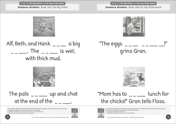 Dandelion Launchers Extras Stages 16-20 Reading and Writing Activities