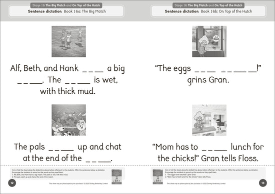 Dandelion Launchers Extras Stages 16-20 Reading and Writing Activities