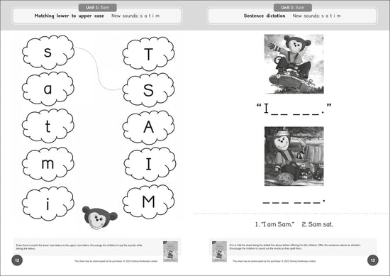 Dandelion Readers Reading and Writing Activities Set 1 Units 1-10