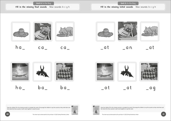 Dandelion Readers Reading and Writing Activities Set 1 Units 1-10