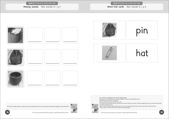 Dandelion Readers Reading and Writing Activities Set 2 Units 1-10 and Set 3 Units 1-10