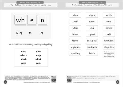 Dandelion Readers Reading and Writing Activities Set 1 Units 11-20