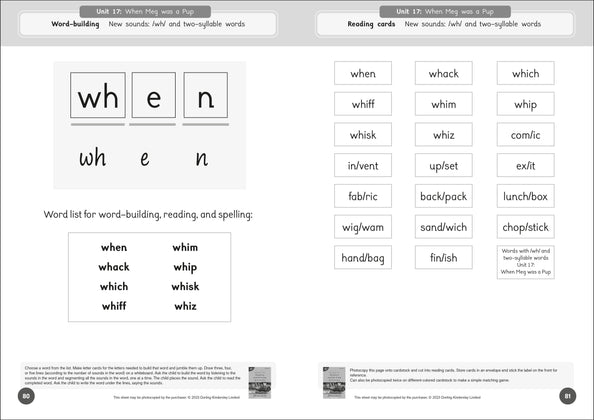 Dandelion Readers Reading and Writing Activities Set 1 Units 11-20