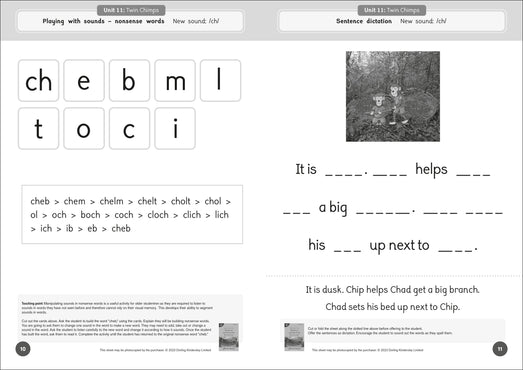 Dandelion Readers Reading and Writing Activities Set 2 Units 11-20