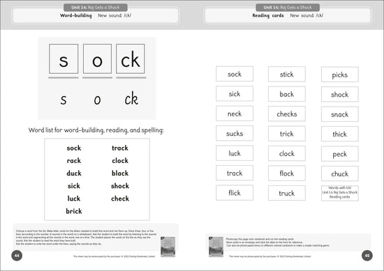 Dandelion Readers Reading and Writing Activities Set 2 Units 11-20