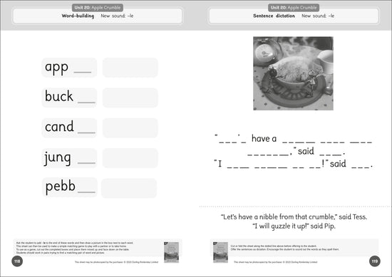 Dandelion Readers Reading and Writing Activities Set 2 Units 11-20