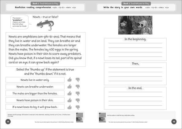 Dandelion Readers Reading and Spelling Activities Further Spellings and Suffixes Level 4