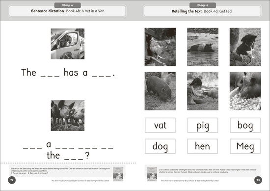 Dandelion World Reading and Writing Activities for Stages 1-7