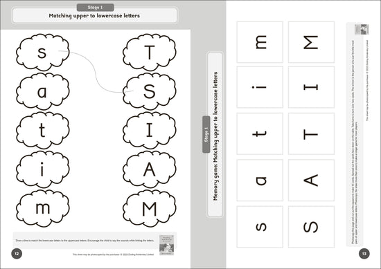 Dandelion World Reading and Writing Activities for Stages 1-7