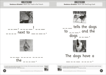 Dandelion World Reading and Writing Activities for Stages 8-15