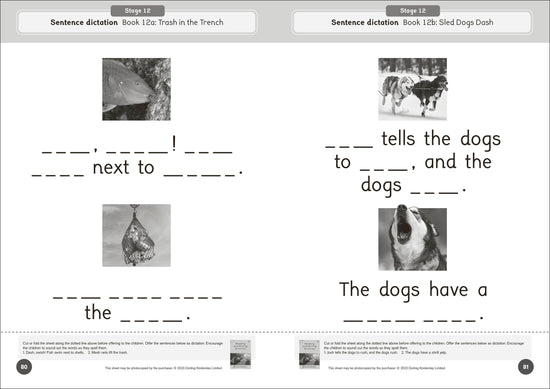 Dandelion World Reading and Writing Activities for Stages 8-15