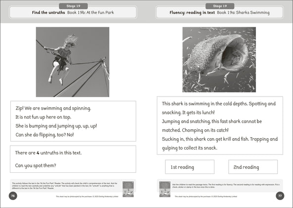 Dandelion World Reading and Writing Activities for Stages 16-20