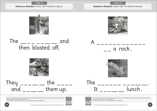 Dandelion World Reading and Writing Activities for Stages 16-20