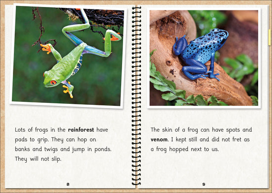 Phonic Books  The Fact Files 1