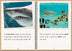 Phonic Books  The Fact Files 1