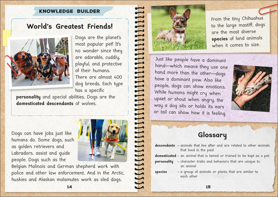 Phonic Books  The Fact Files 1