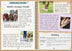 Phonic Books  The Fact Files 1