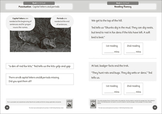 Phonic Books The Fact Files 1 Activities