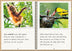 Phonic Books The Fact Files 2