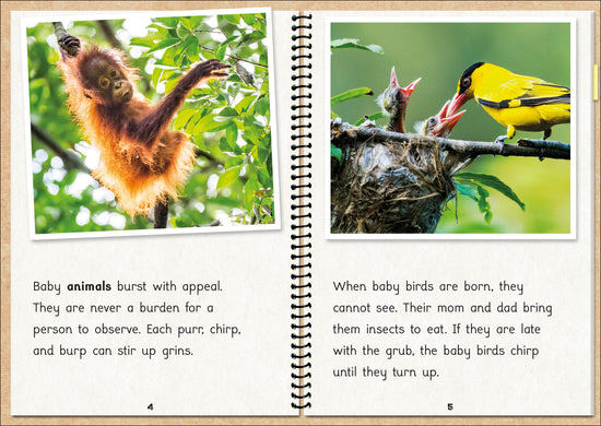 Phonic Books The Fact Files 2