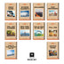 Phonic Books The Fact Files 3