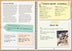 Phonic Books The Fact Files 4
