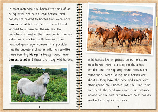 Phonic Books The Fact Files 4