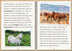 Phonic Books The Fact Files 4