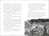 Mount Olympus Mysteries Apollo and the Lost Sun
