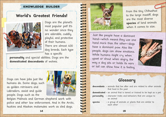 Phonic Books  The Fact Files 1