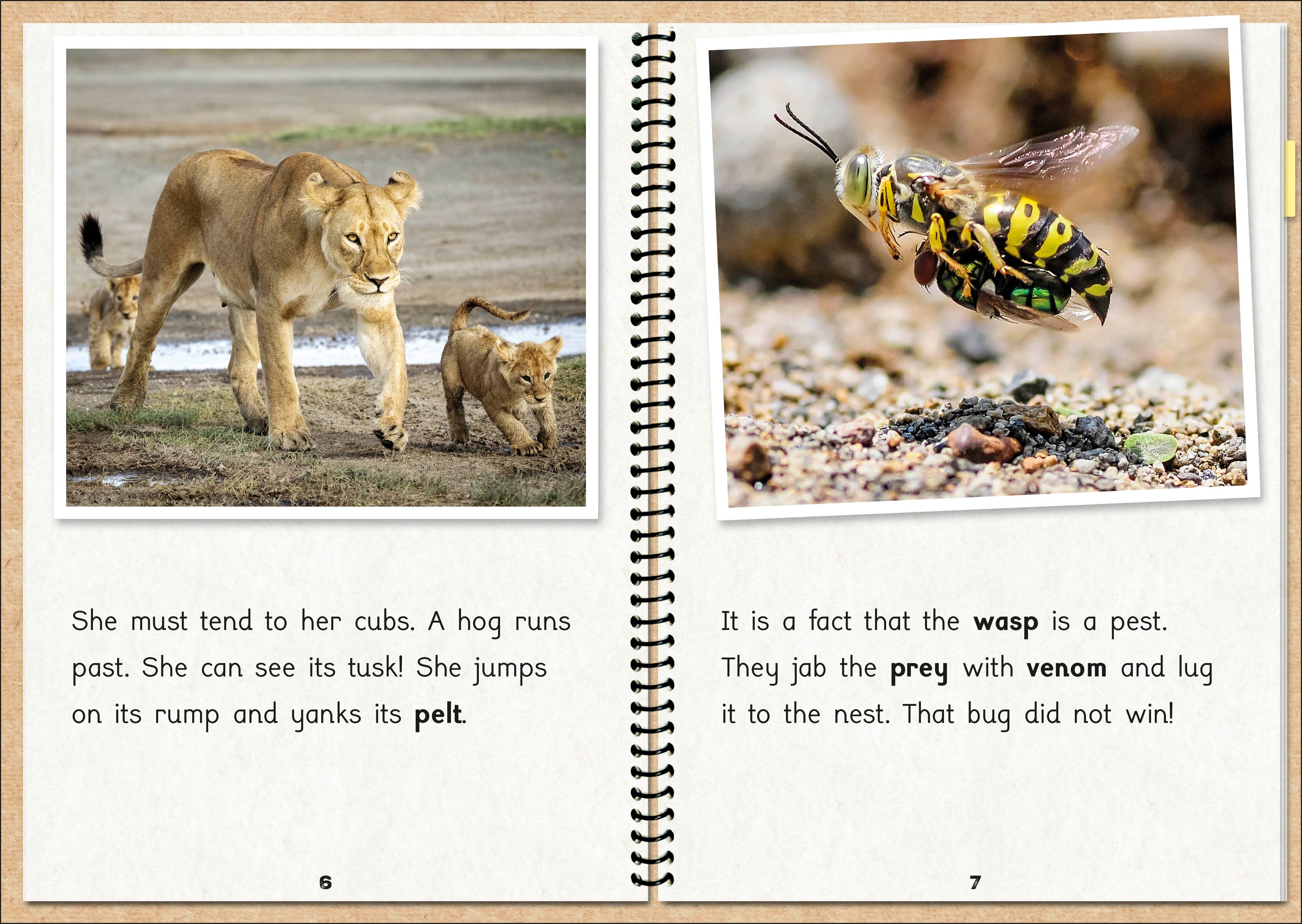 Phonic Books The Fact Files 1 – Phonic Books US