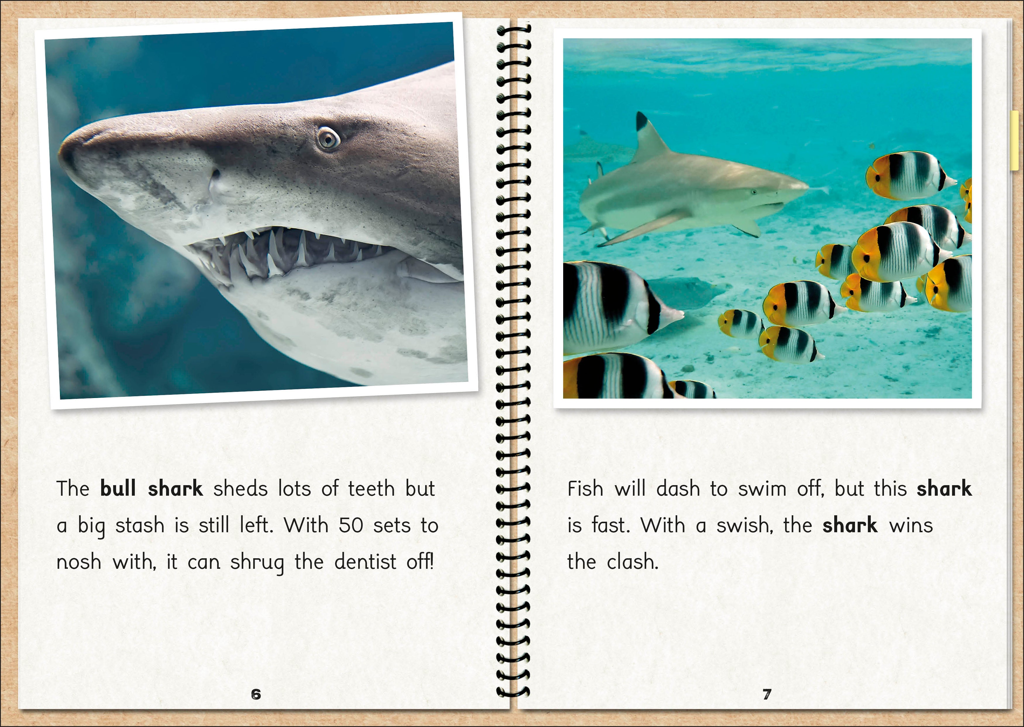 Phonic Books The Fact Files 1 – Phonic Books US