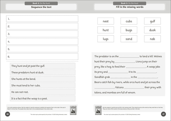 Phonic Books The Fact Files 1 Activities
