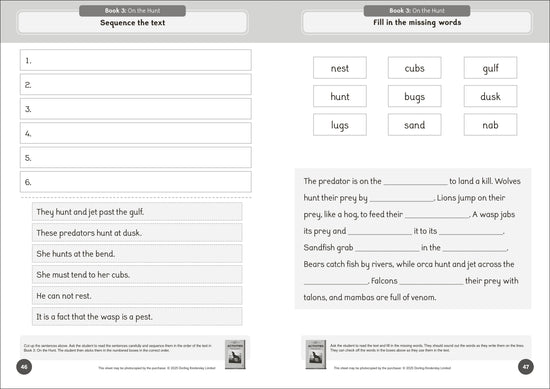 Phonic Books The Fact Files 1 Activities