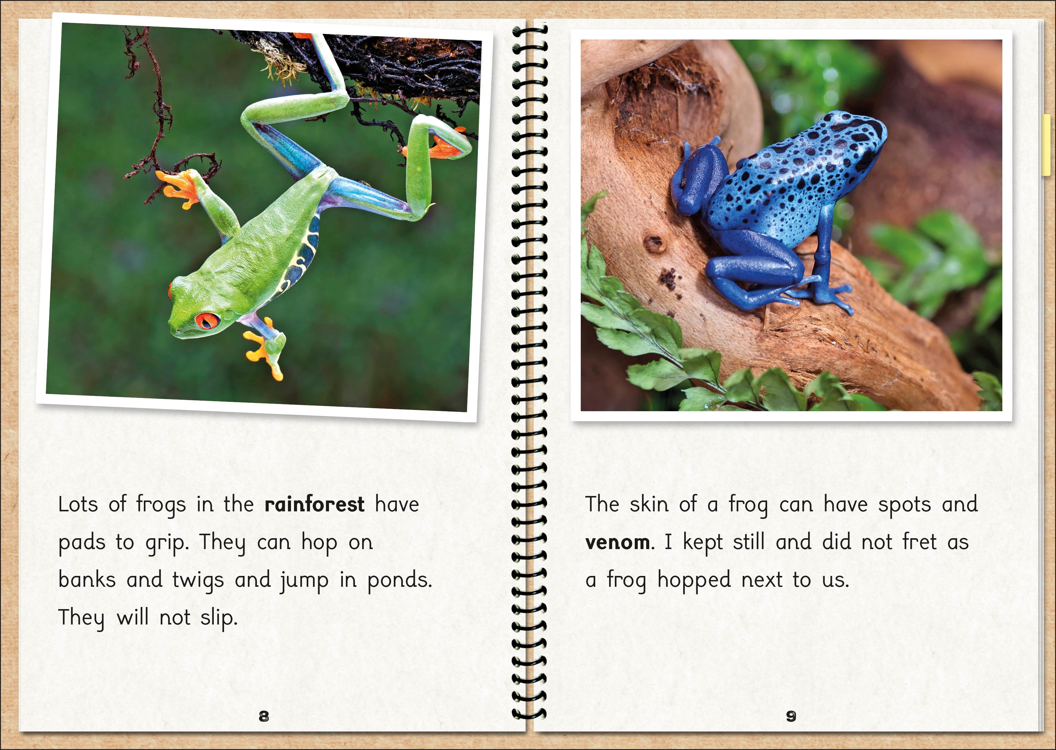 Phonic Books The Fact Files 1 – Phonic Books US