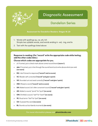 Diagnostic Assessment for Stages 16-20 Readers - image