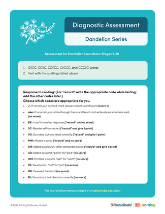 Diagnostic Assessment for Stages 8-10 - image