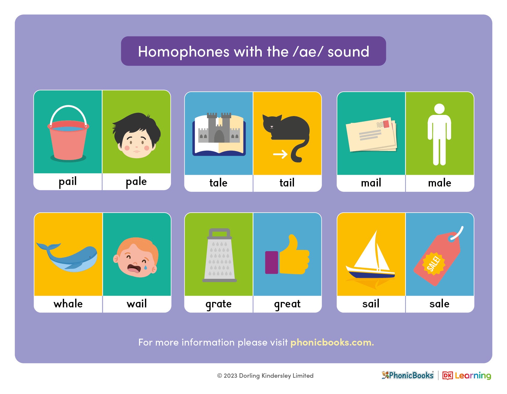 Homophones with the /ae/ sound – Phonic Books US