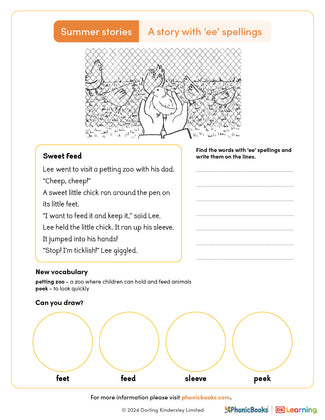 Summer Stories 'ee spellings' Worksheet (B&W) - image