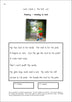 Dandelion Readers Vowel Spellings Level 1 Activities