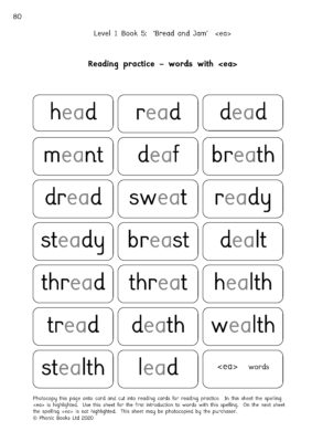 Dandelion Readers, Vowel Spellings, Level 1 Workbook - Phonic Books